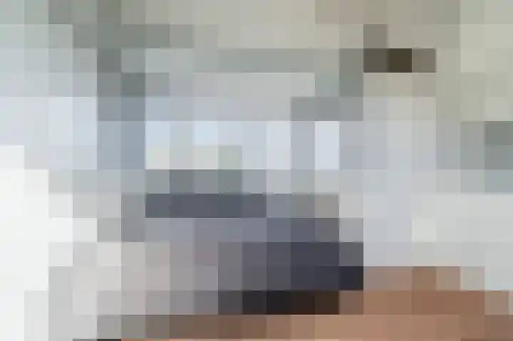 Scholekster 15 Noordwijk thumbnail 28