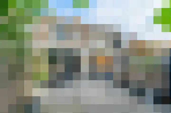 Scholekster 15 Noordwijk thumbnail 30