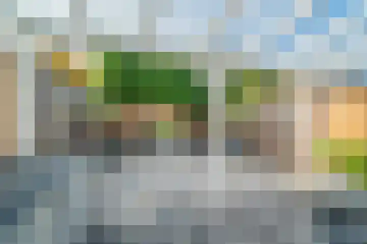 Scholekster 15 Noordwijk thumbnail 31
