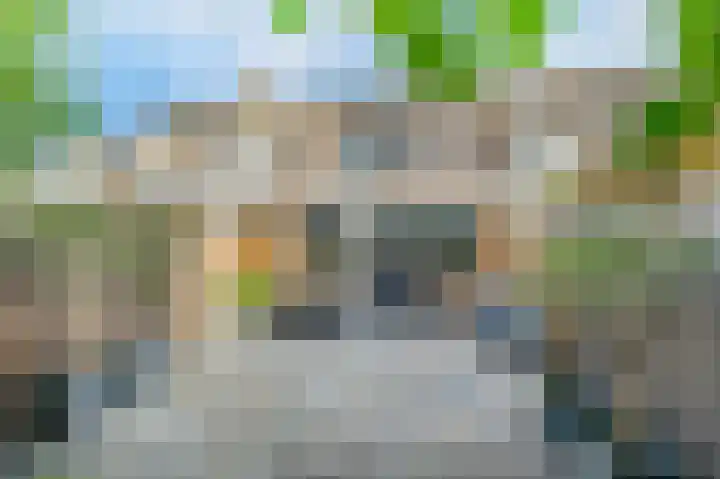 Scholekster 15 Noordwijk thumbnail 33