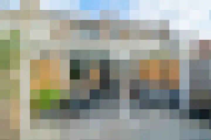 Scholekster 15 Noordwijk thumbnail 34