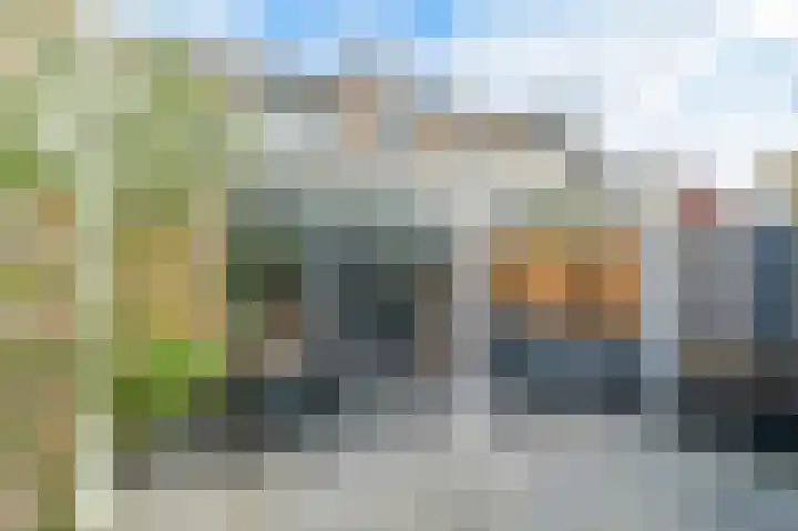 Scholekster 15 Noordwijk thumbnail 35