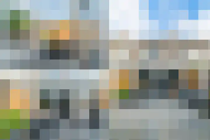 Scholekster 15 Noordwijk thumbnail 36