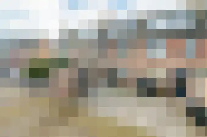 Scholekster 15 Noordwijk thumbnail 38
