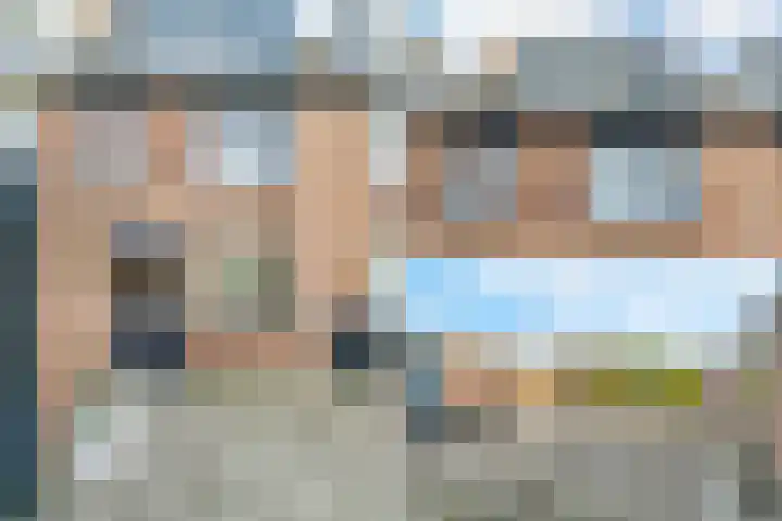 Scholekster 15 Noordwijk thumbnail 39