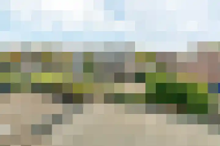 Scholekster 15 Noordwijk thumbnail 40