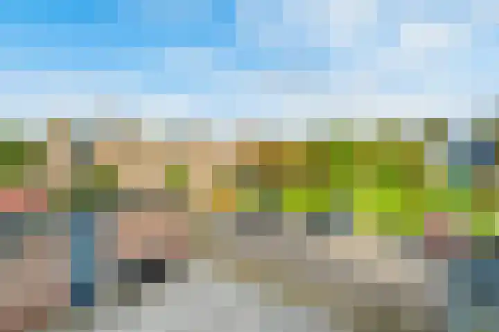 Scholekster 15 Noordwijk thumbnail 42
