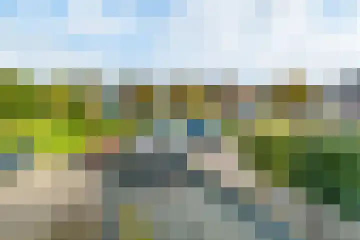 Scholekster 15 Noordwijk thumbnail 43