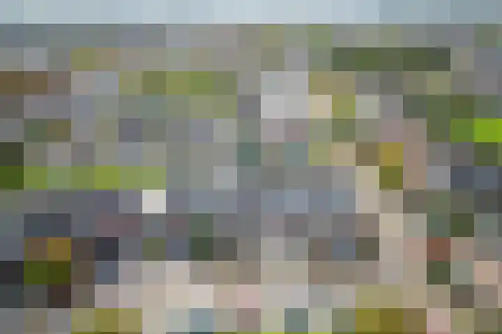 Scholekster 15 Noordwijk thumbnail 44