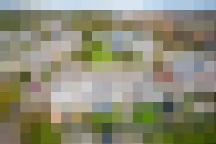 Scholekster 15 Noordwijk thumbnail 47