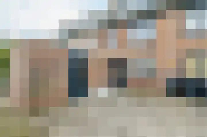 Scholekster 15 Noordwijk thumbnail 5