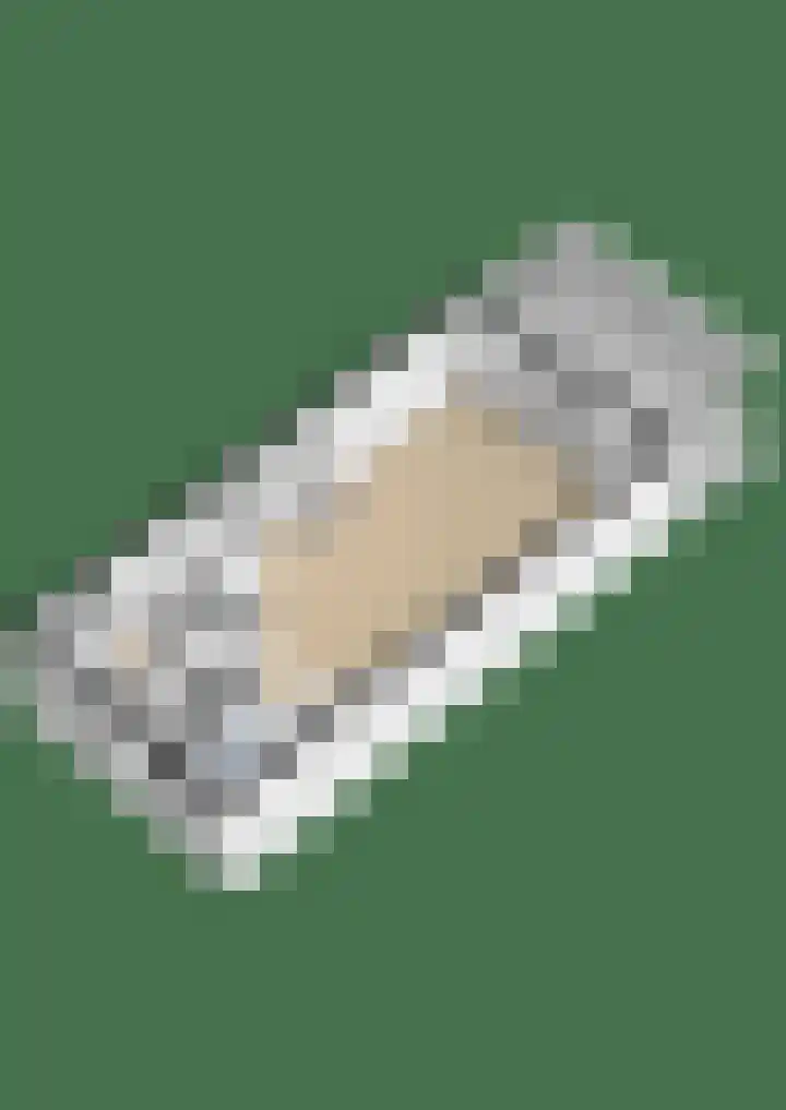 Scholekster 15 Noordwijk thumbnail 53