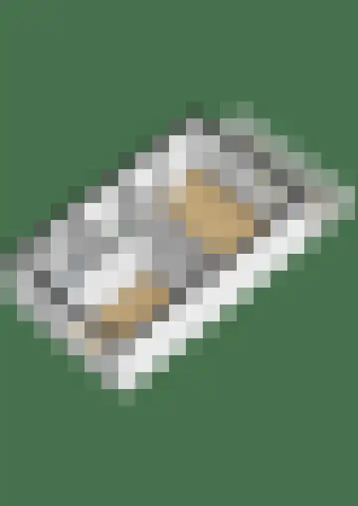 Scholekster 15 Noordwijk thumbnail 54