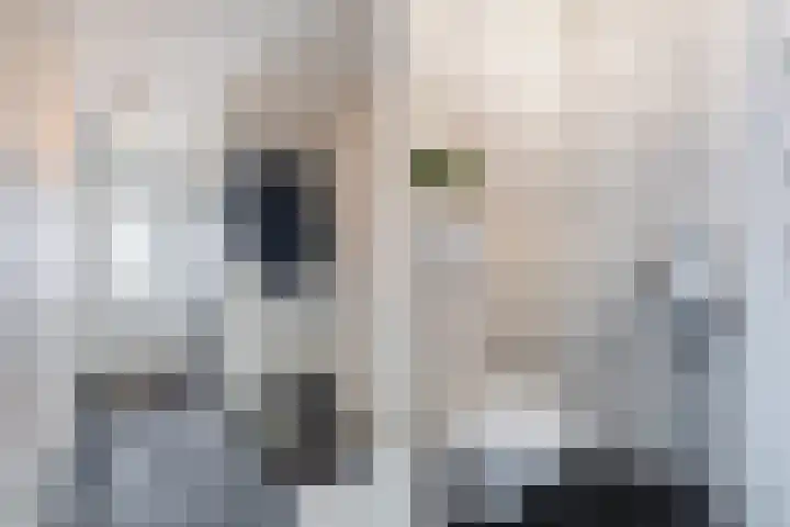 Scholekster 15 Noordwijk thumbnail 6