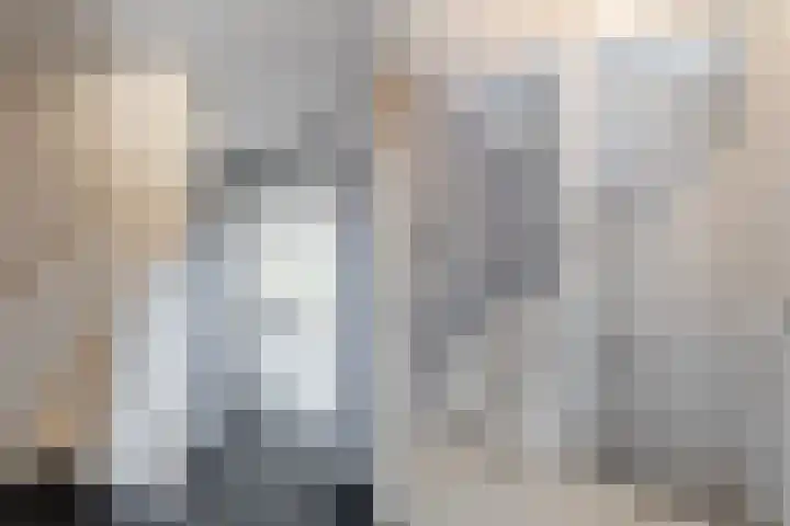Scholekster 15 Noordwijk thumbnail 7