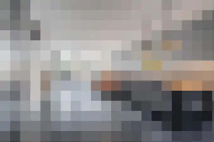 Scholekster 15 Noordwijk thumbnail 8