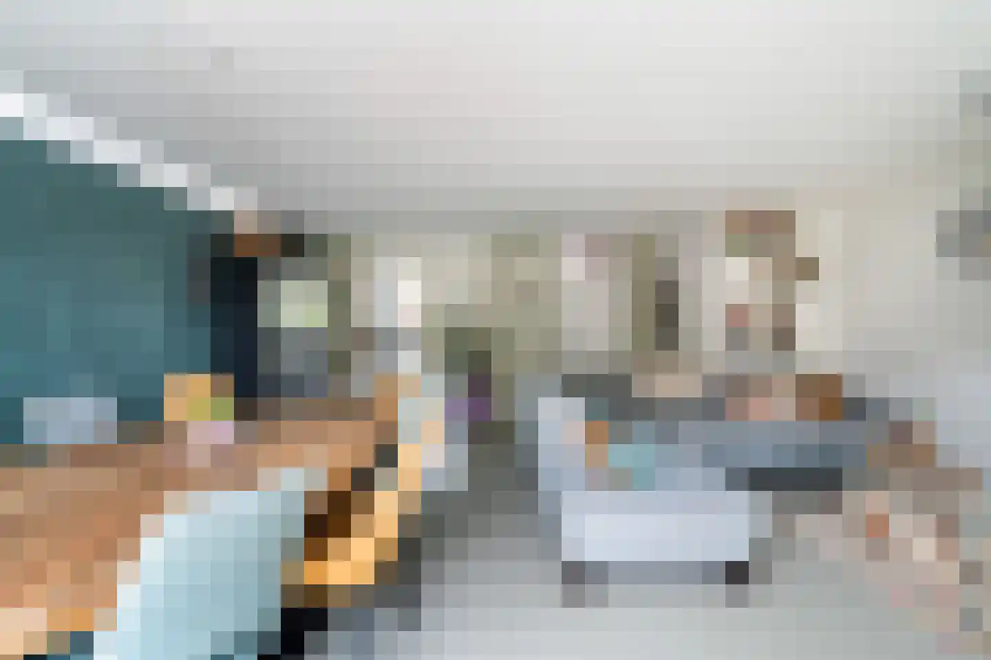Scholekster 20 De Lier thumbnail 10