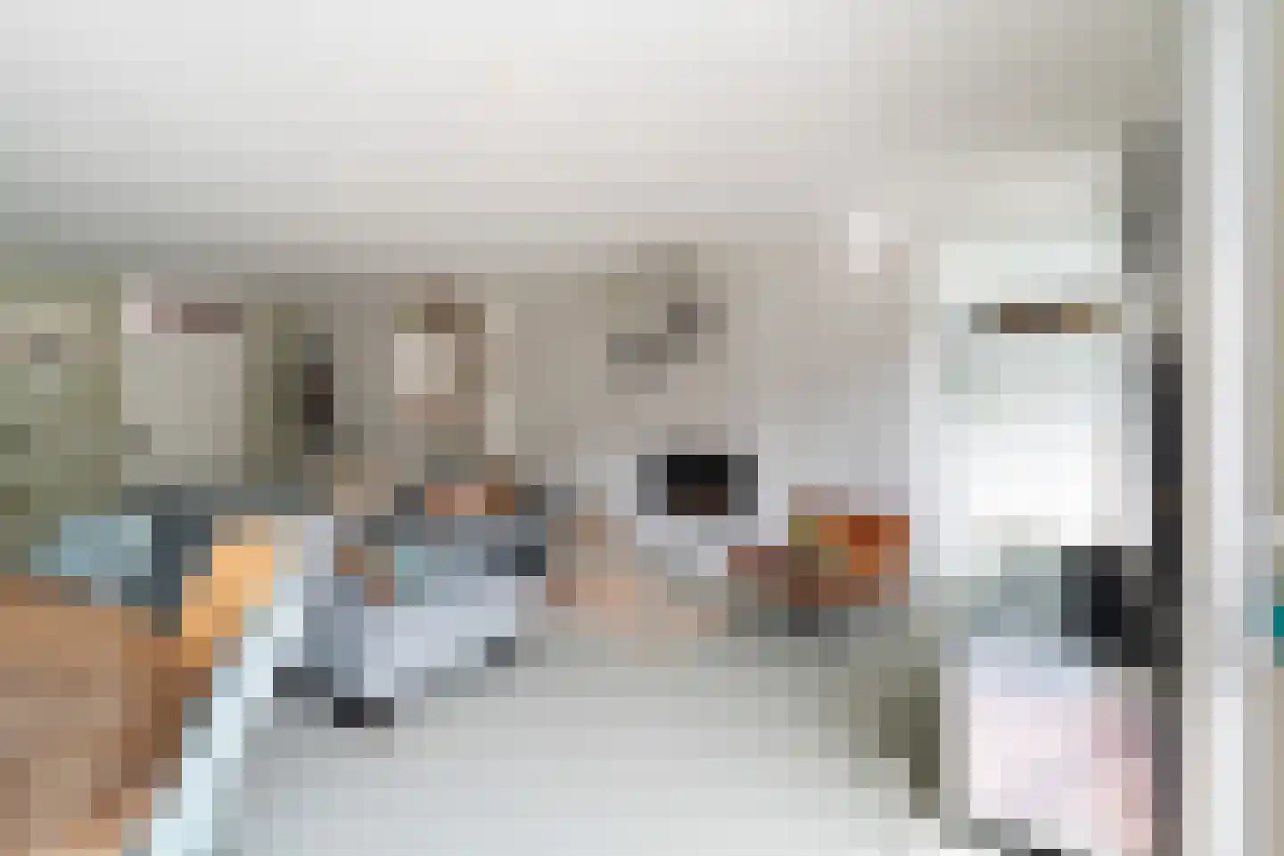 Scholekster 20 De Lier thumbnail 11