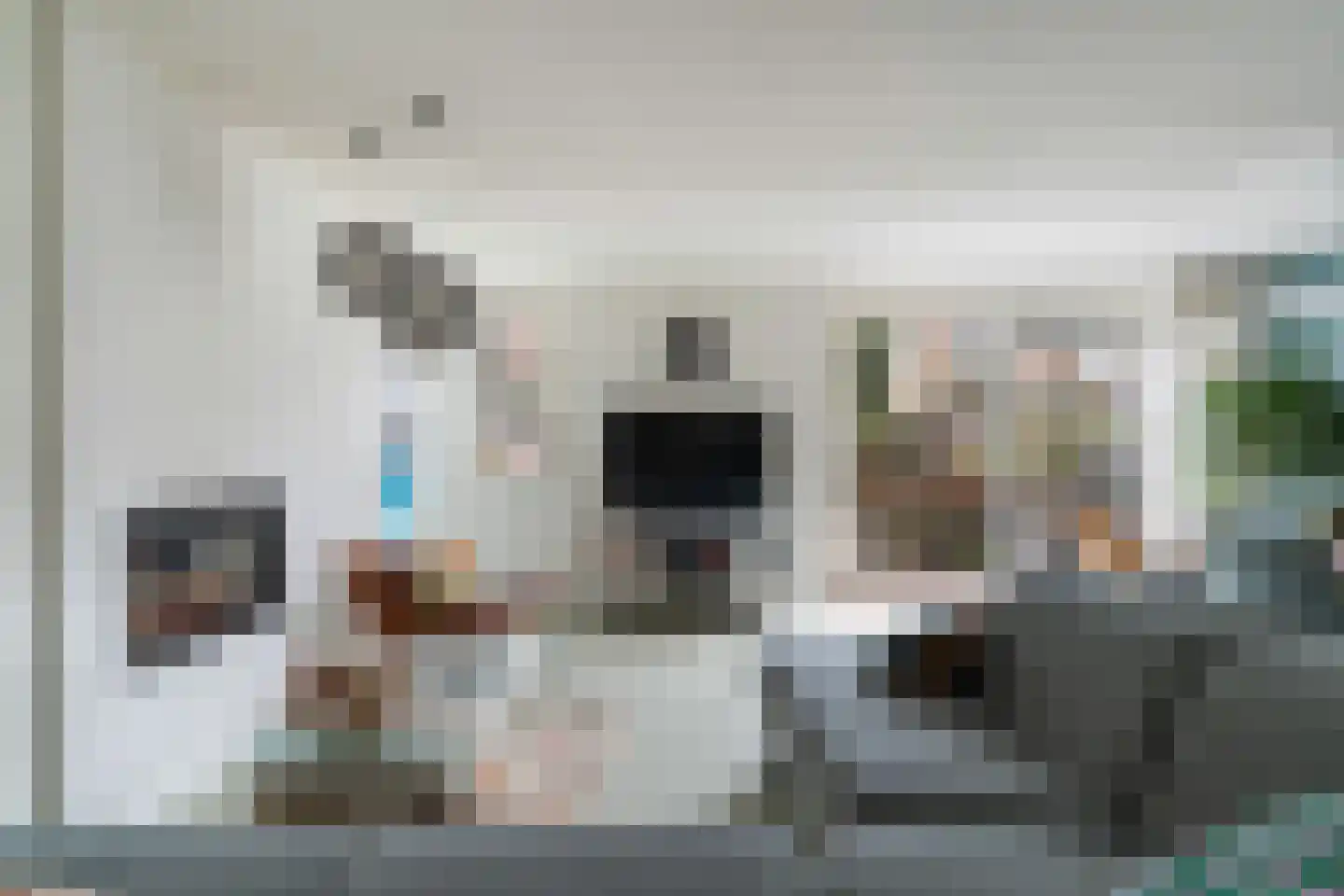 Scholekster 20 De Lier thumbnail 13
