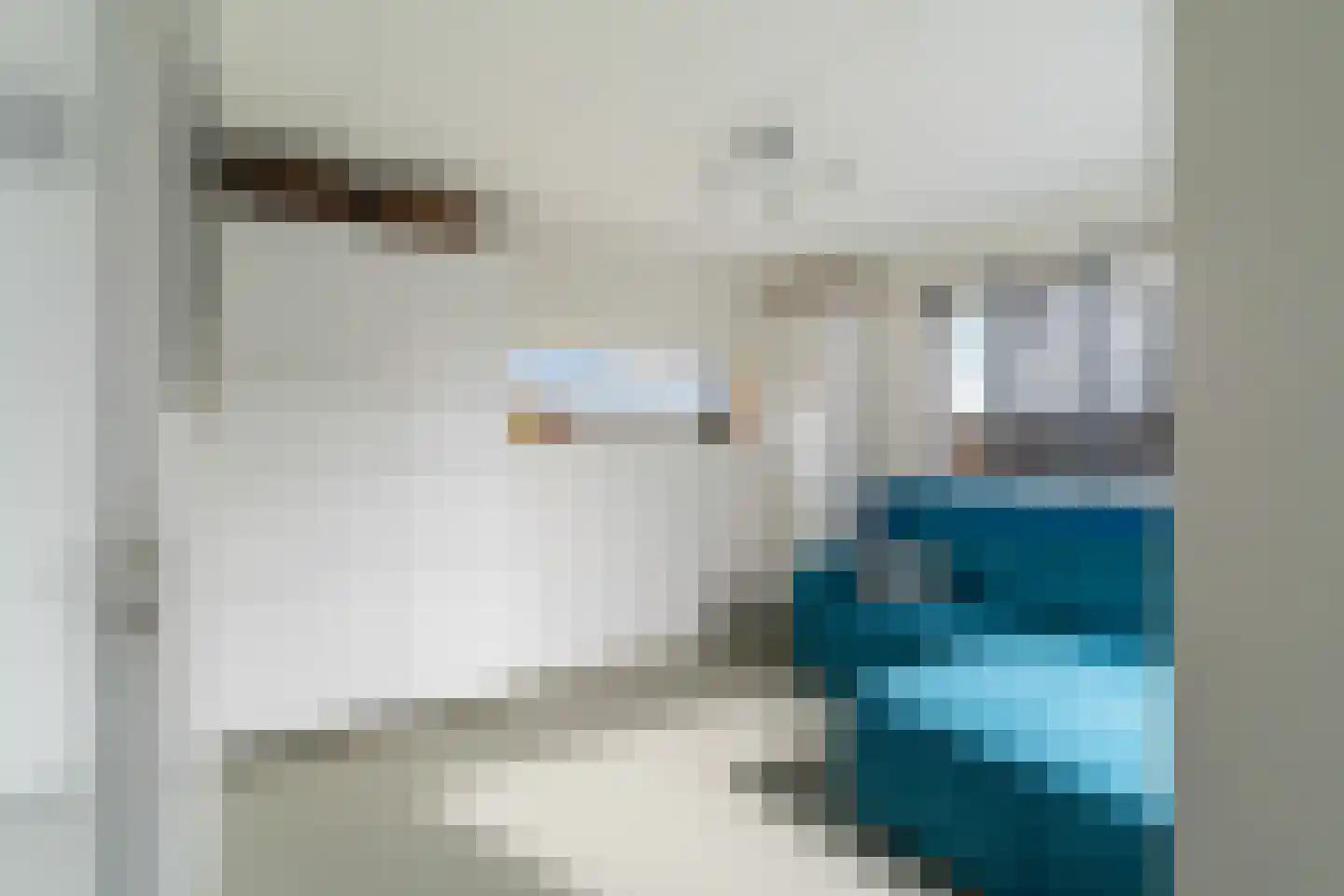 Scholekster 20 De Lier thumbnail 15