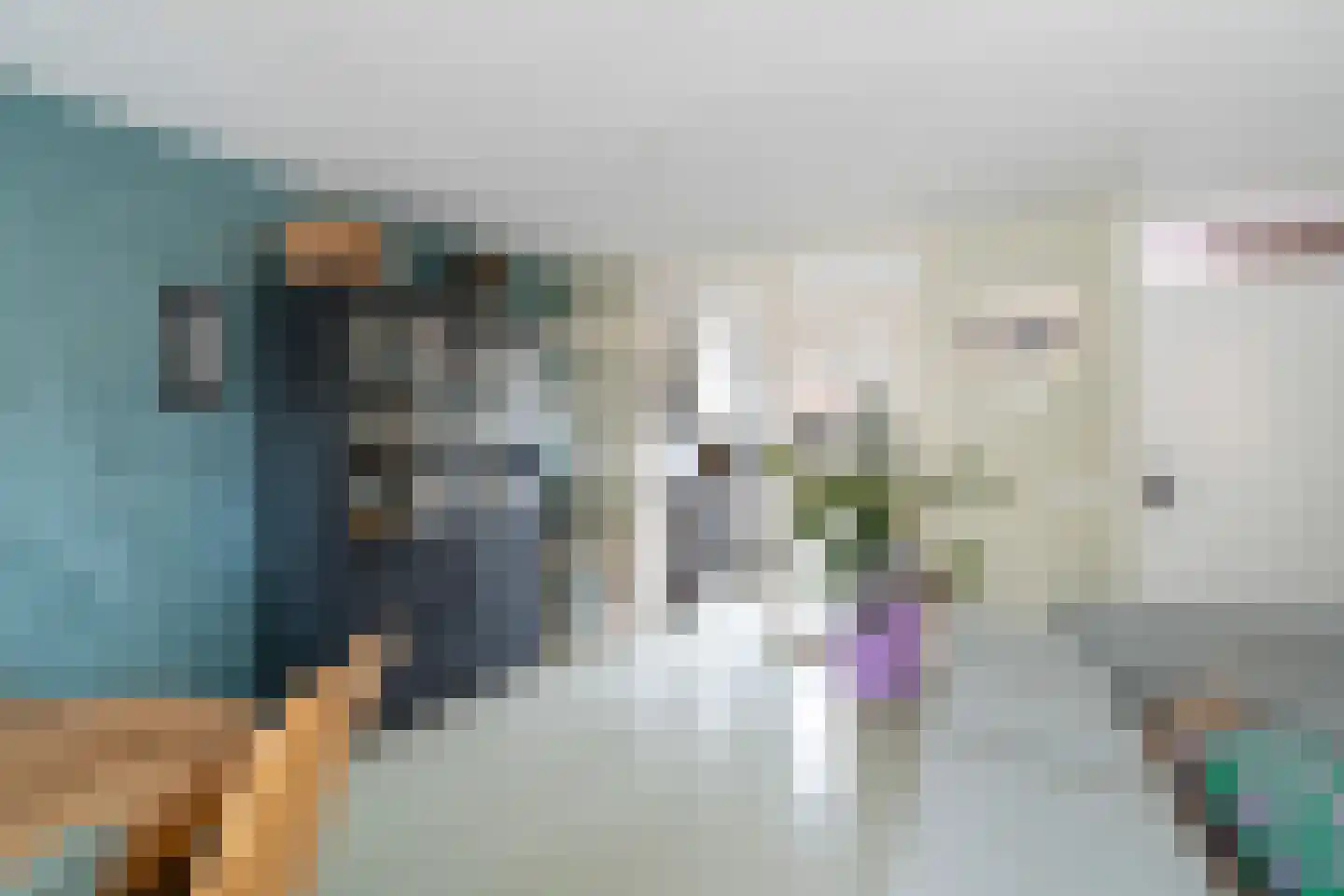 Scholekster 20 De Lier thumbnail 17
