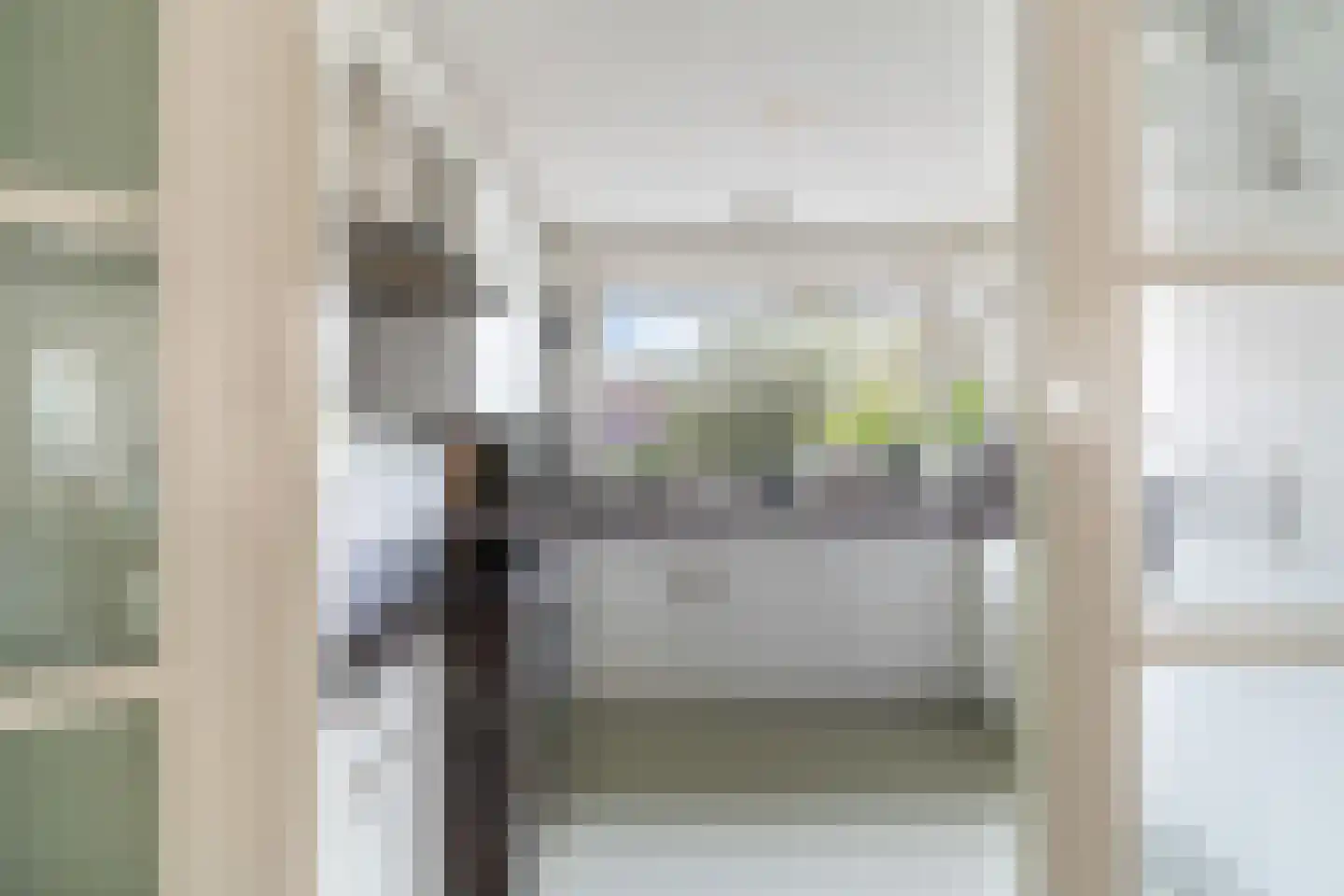 Scholekster 20 De Lier thumbnail 18