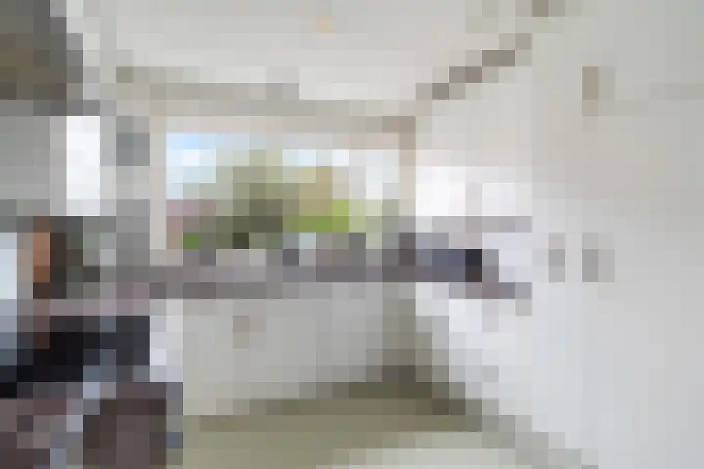 Scholekster 20 De Lier thumbnail 19