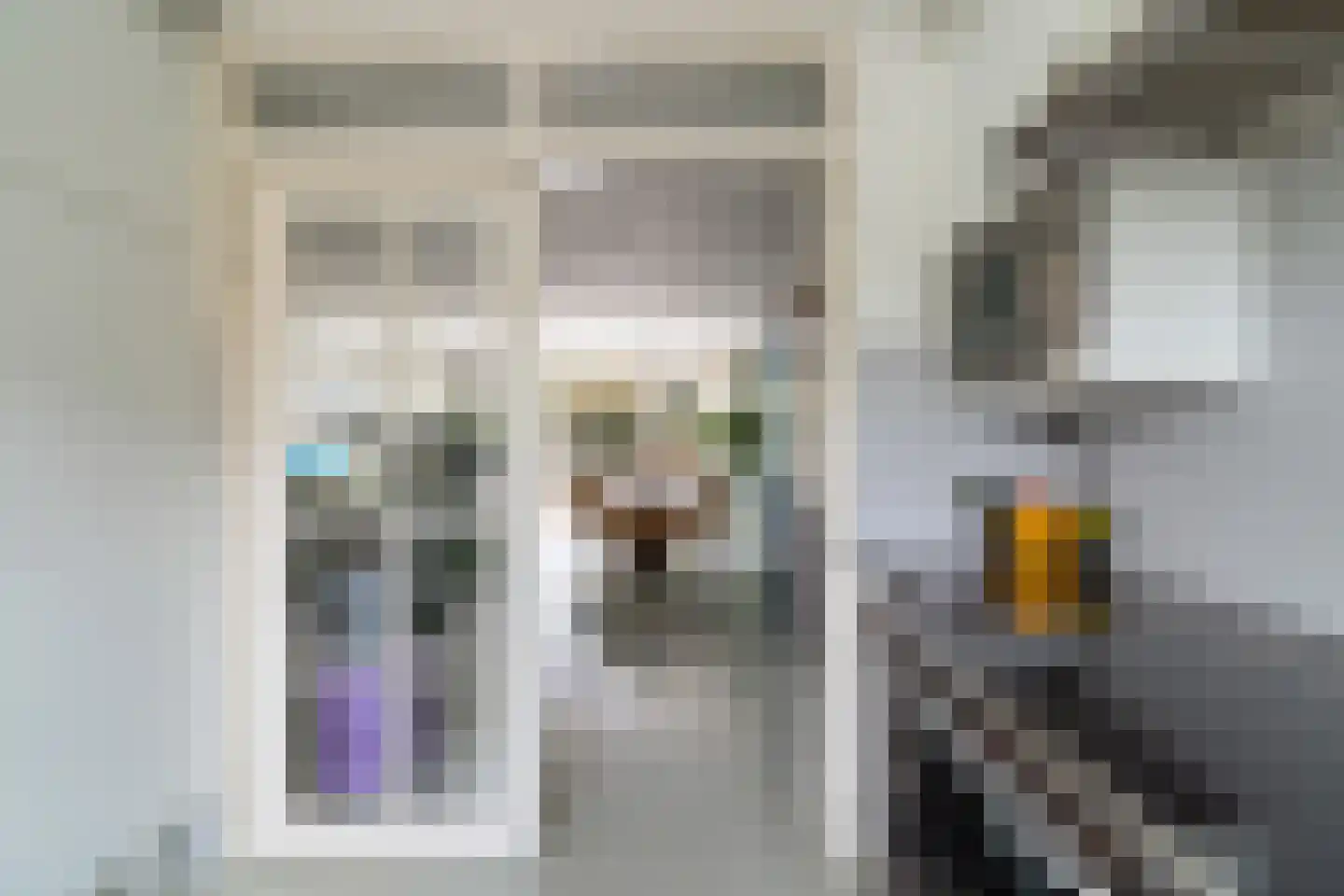 Scholekster 20 De Lier thumbnail 20