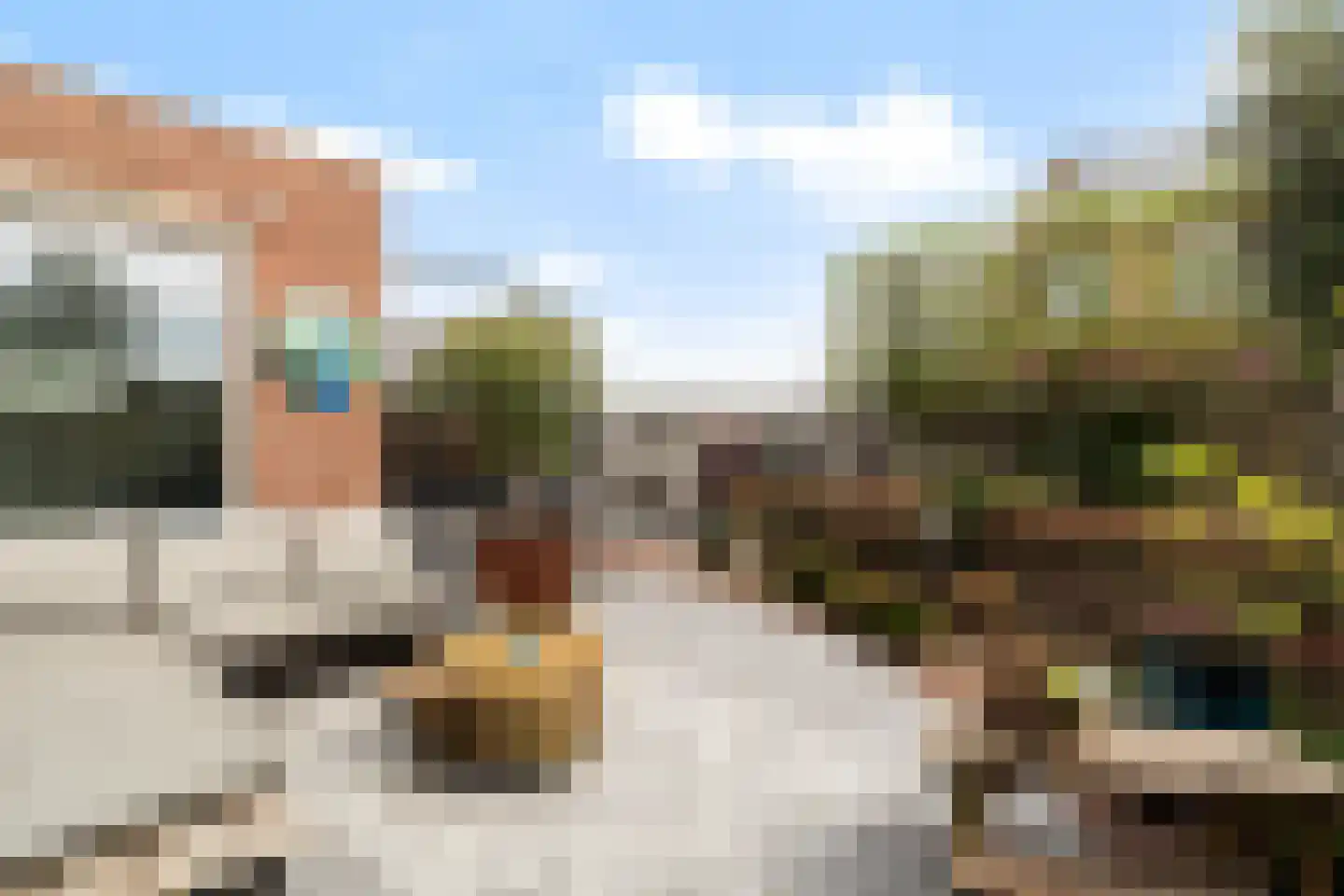 Scholekster 20 De Lier thumbnail 22