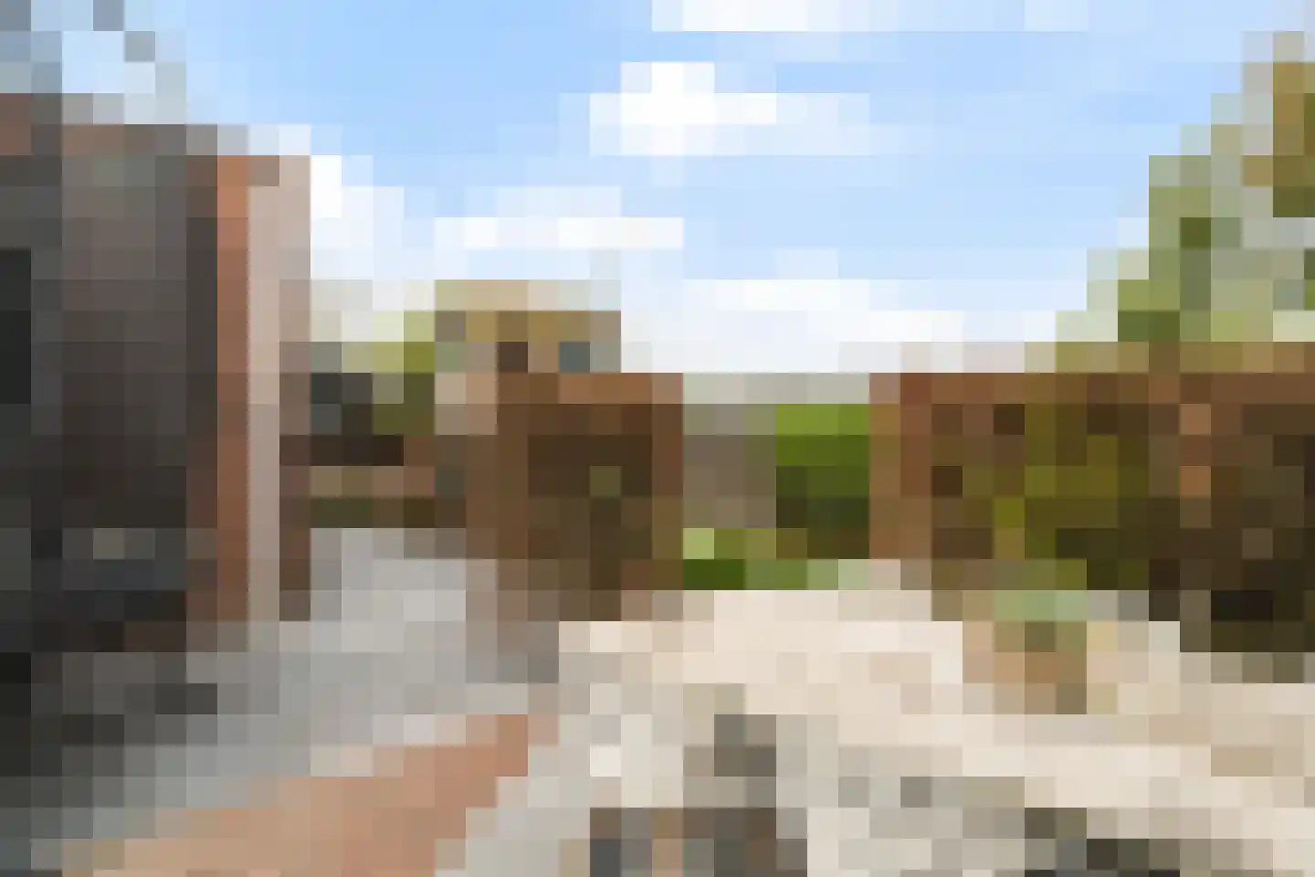 Scholekster 20 De Lier thumbnail 24