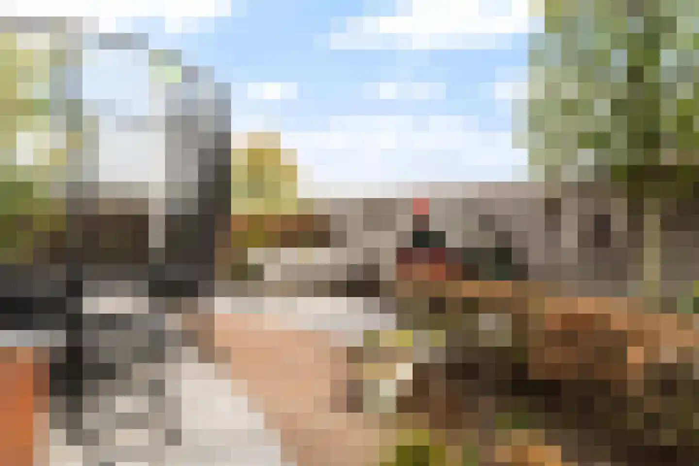 Scholekster 20 De Lier thumbnail 26