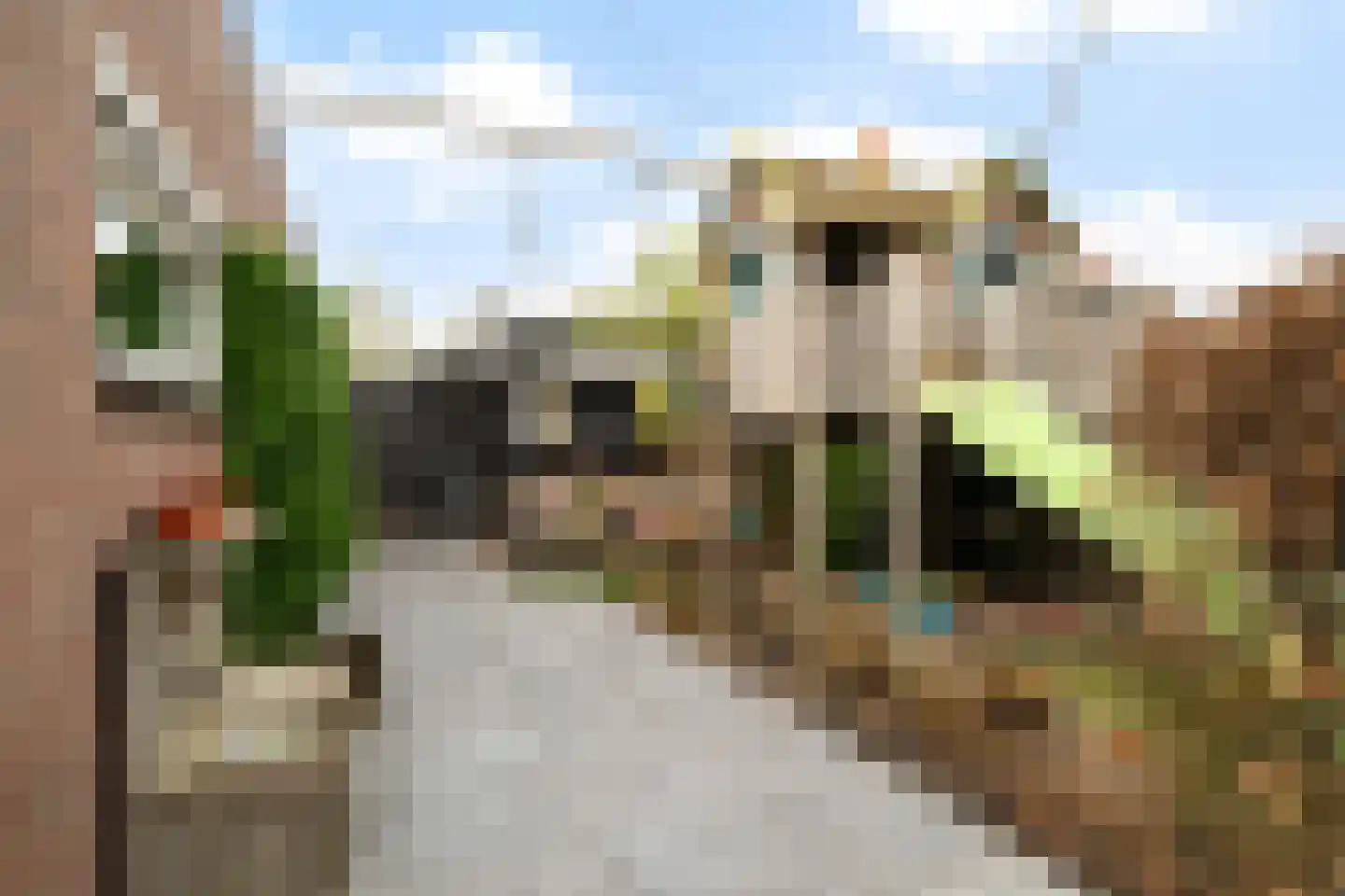 Scholekster 20 De Lier thumbnail 27