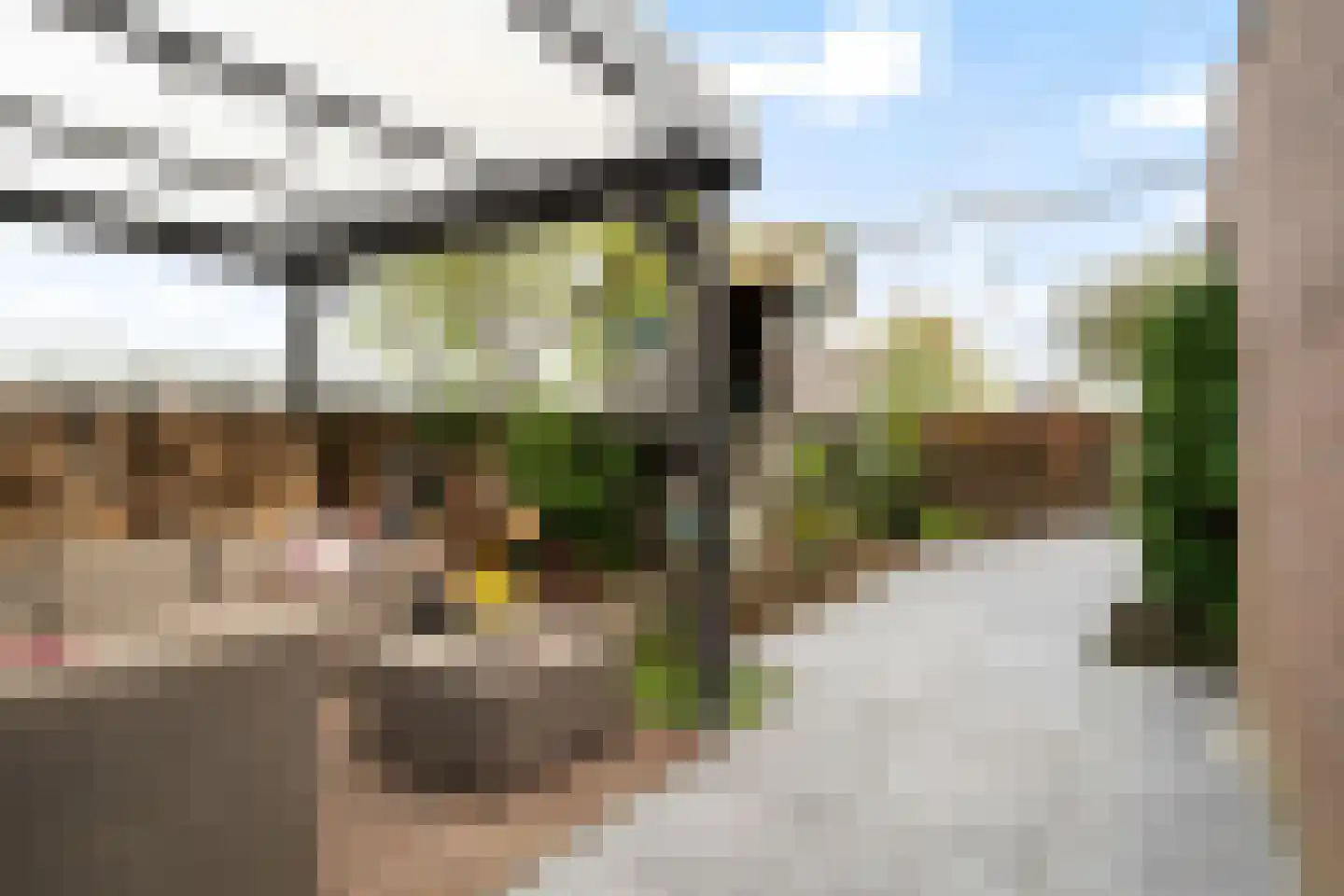 Scholekster 20 De Lier thumbnail 28