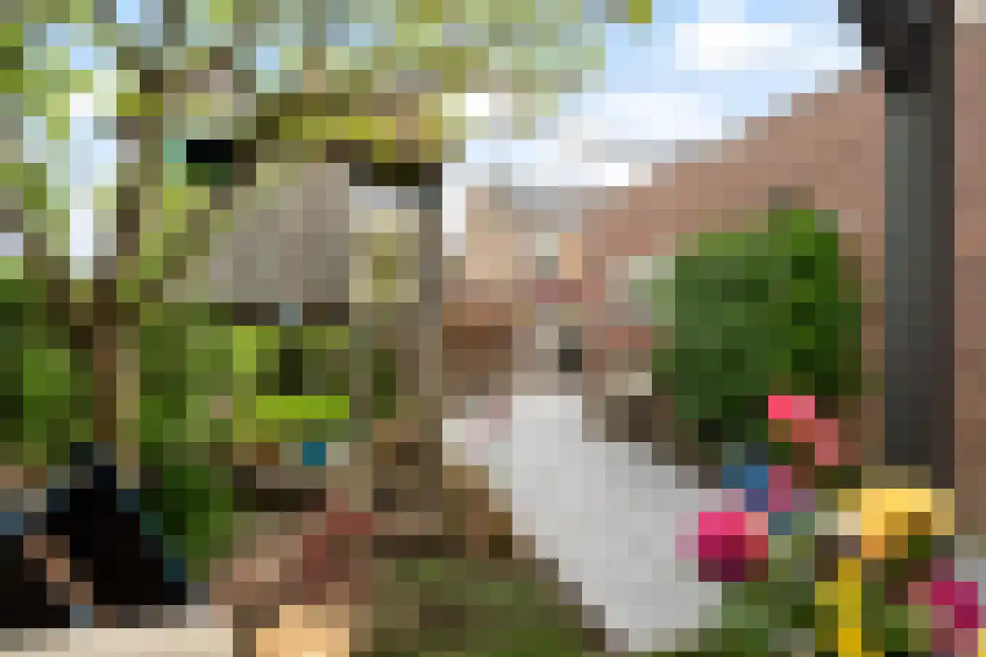 Scholekster 20 De Lier thumbnail 29