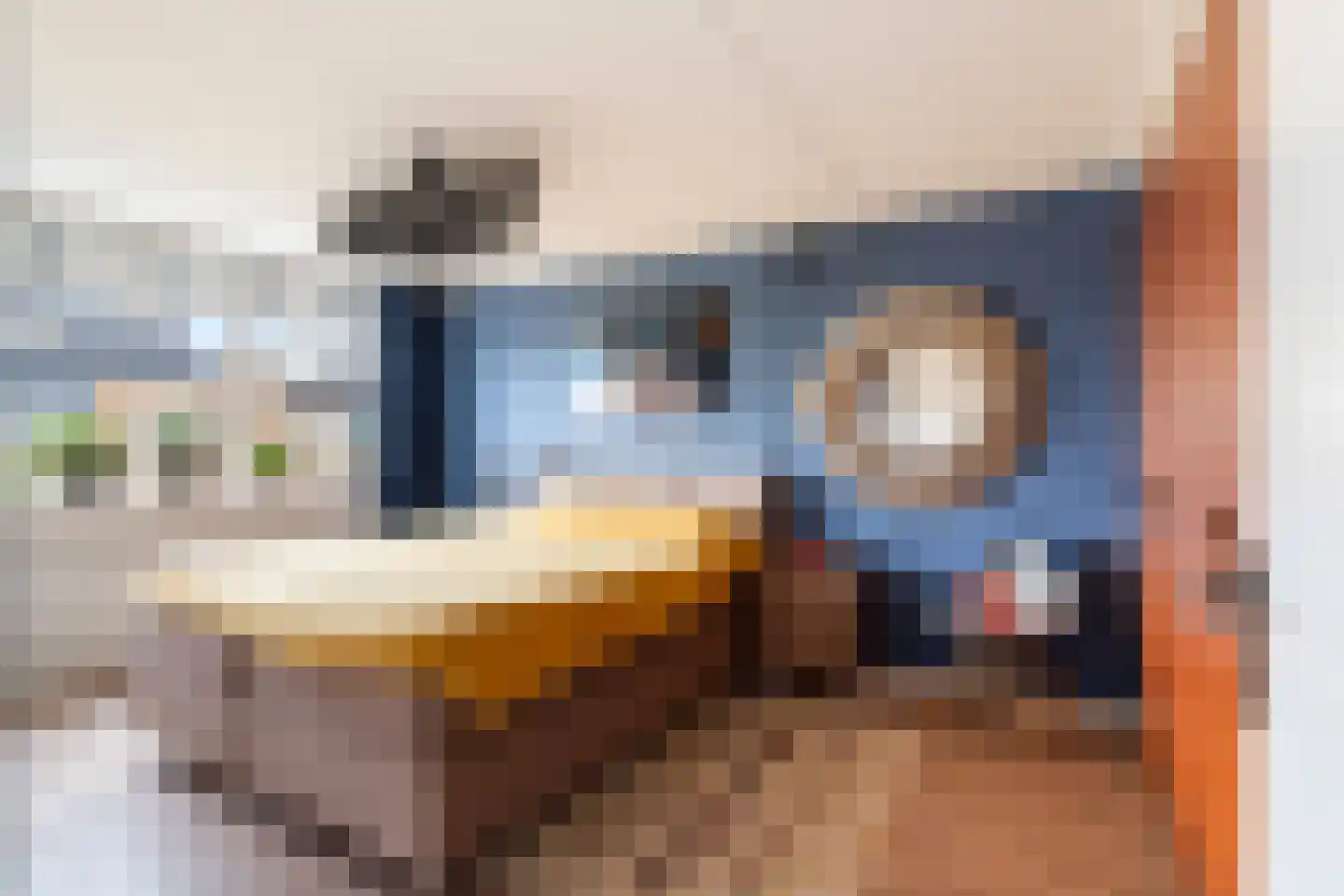 Scholekster 20 De Lier thumbnail 31