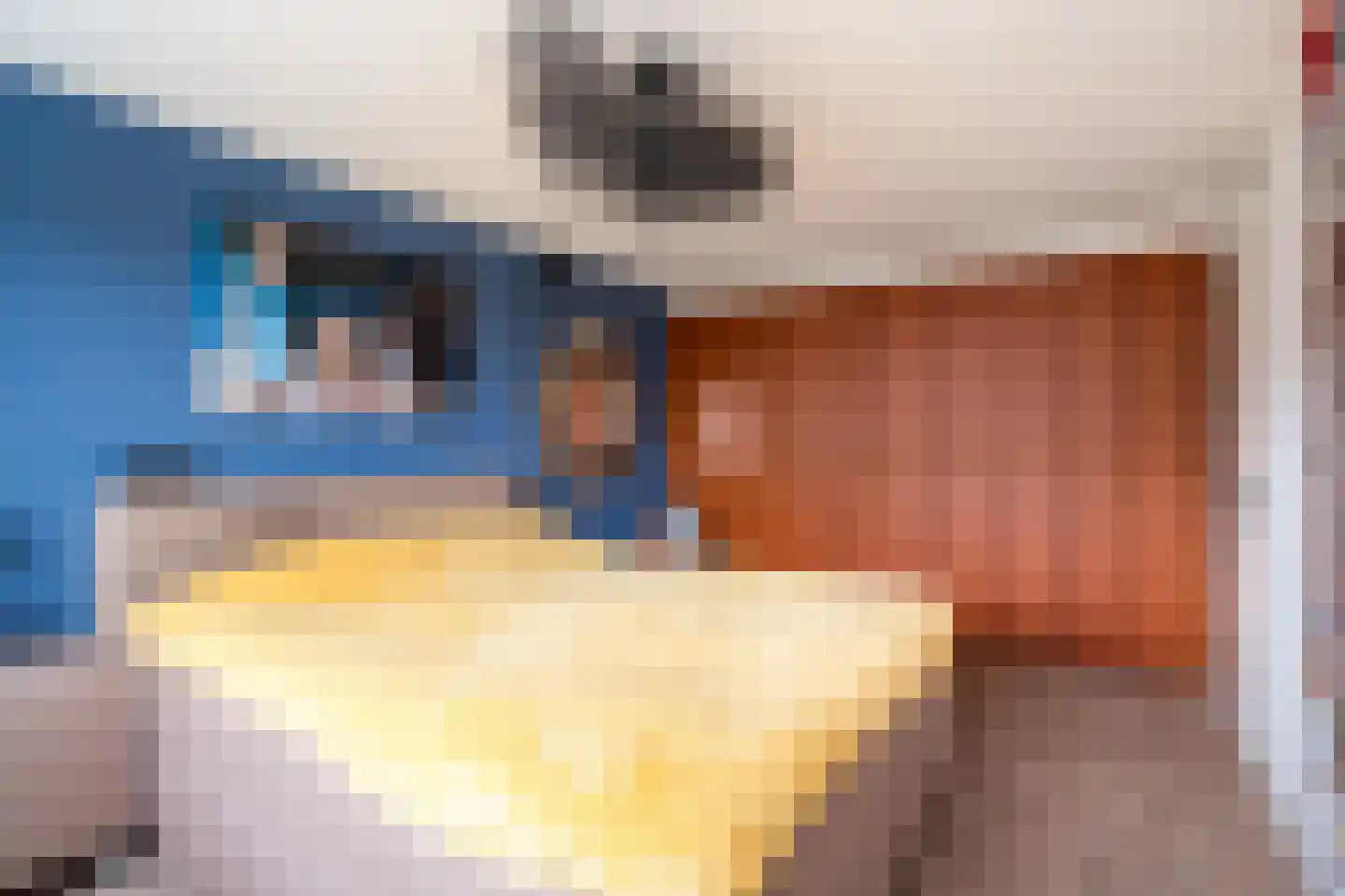 Scholekster 20 De Lier thumbnail 33