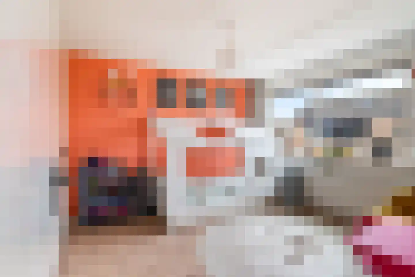 Scholekster 20 De Lier thumbnail 34