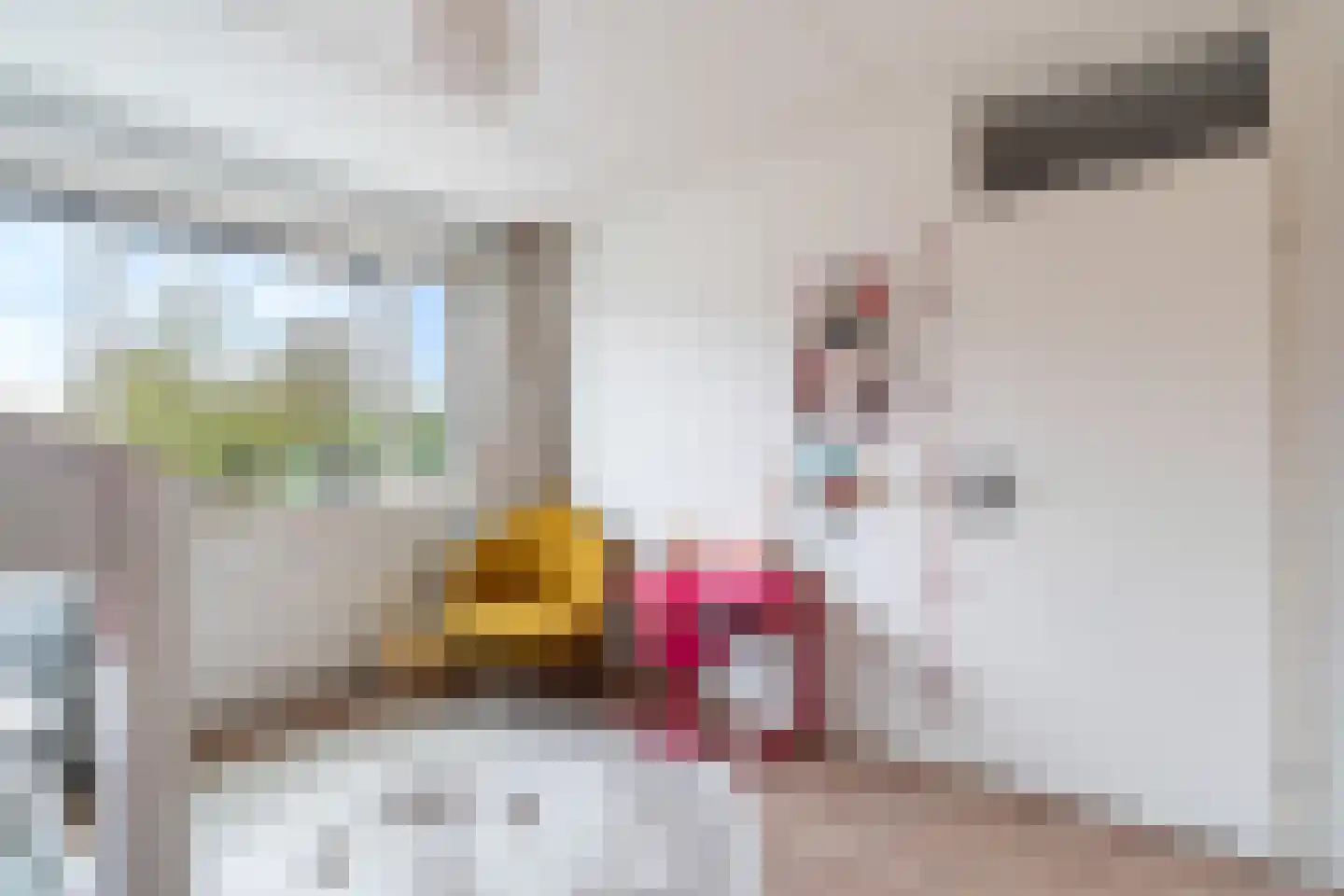 Scholekster 20 De Lier thumbnail 35