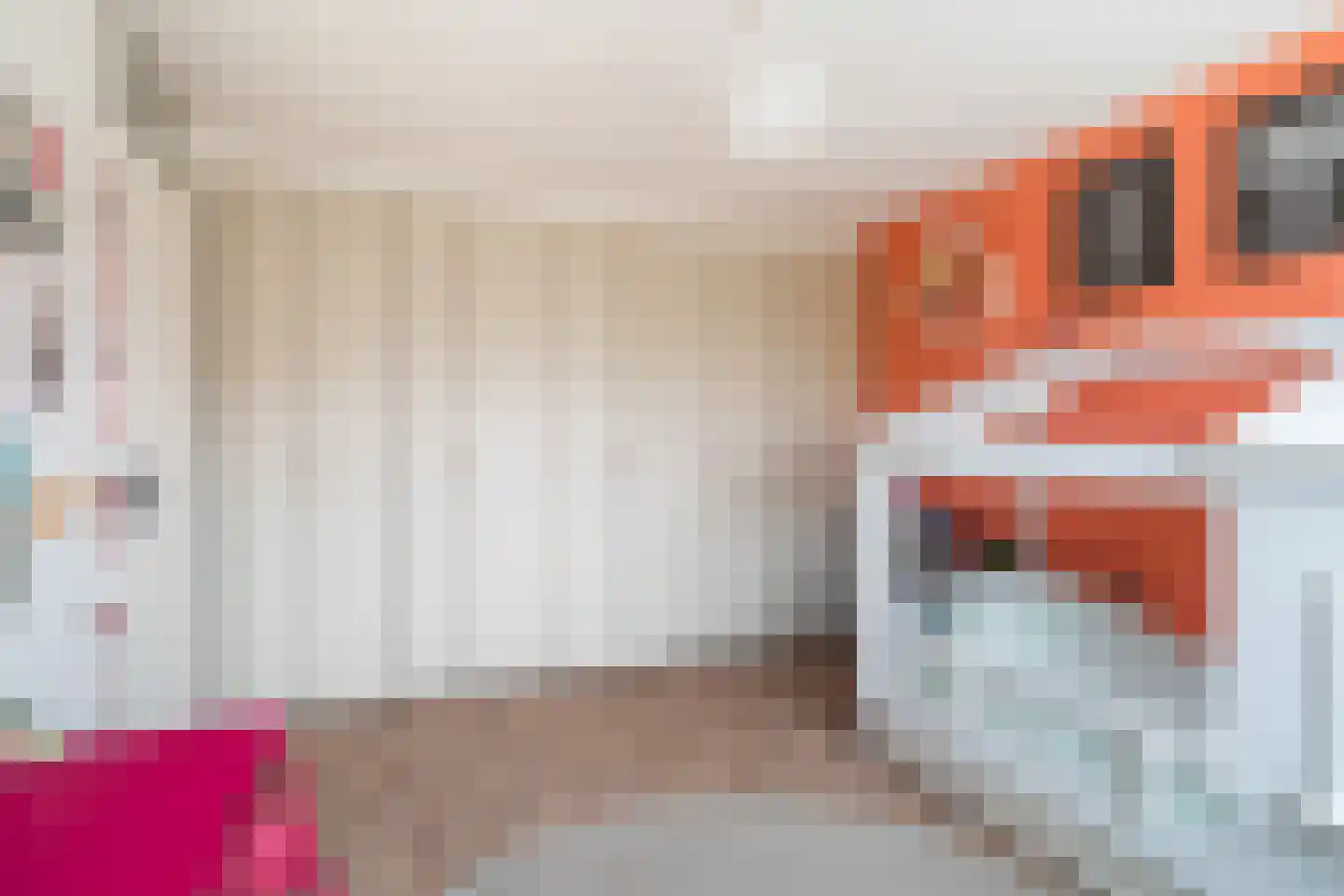 Scholekster 20 De Lier thumbnail 36