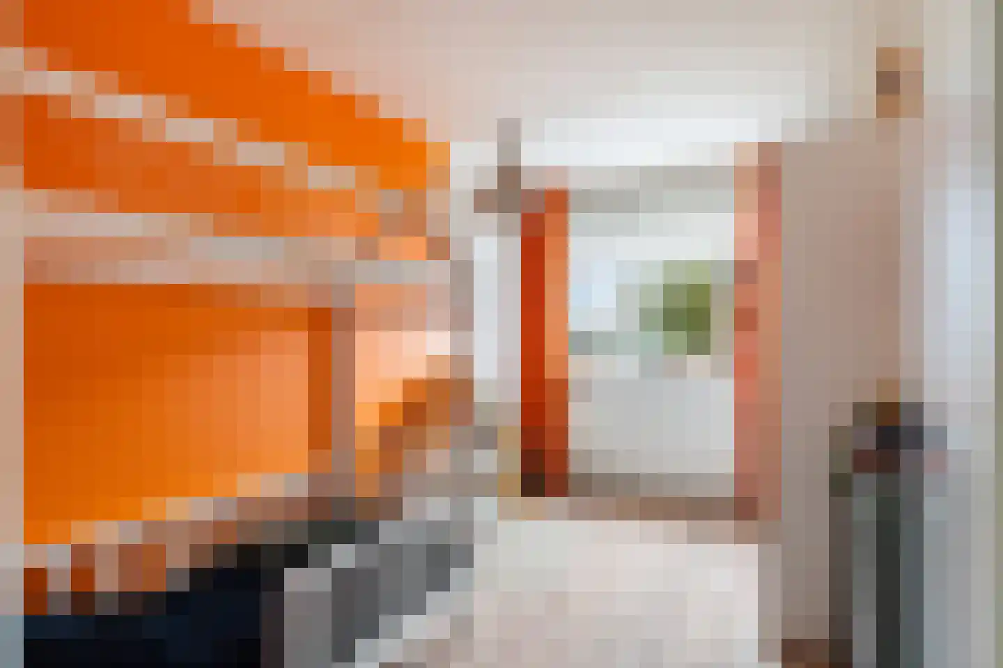 Scholekster 20 De Lier thumbnail 37