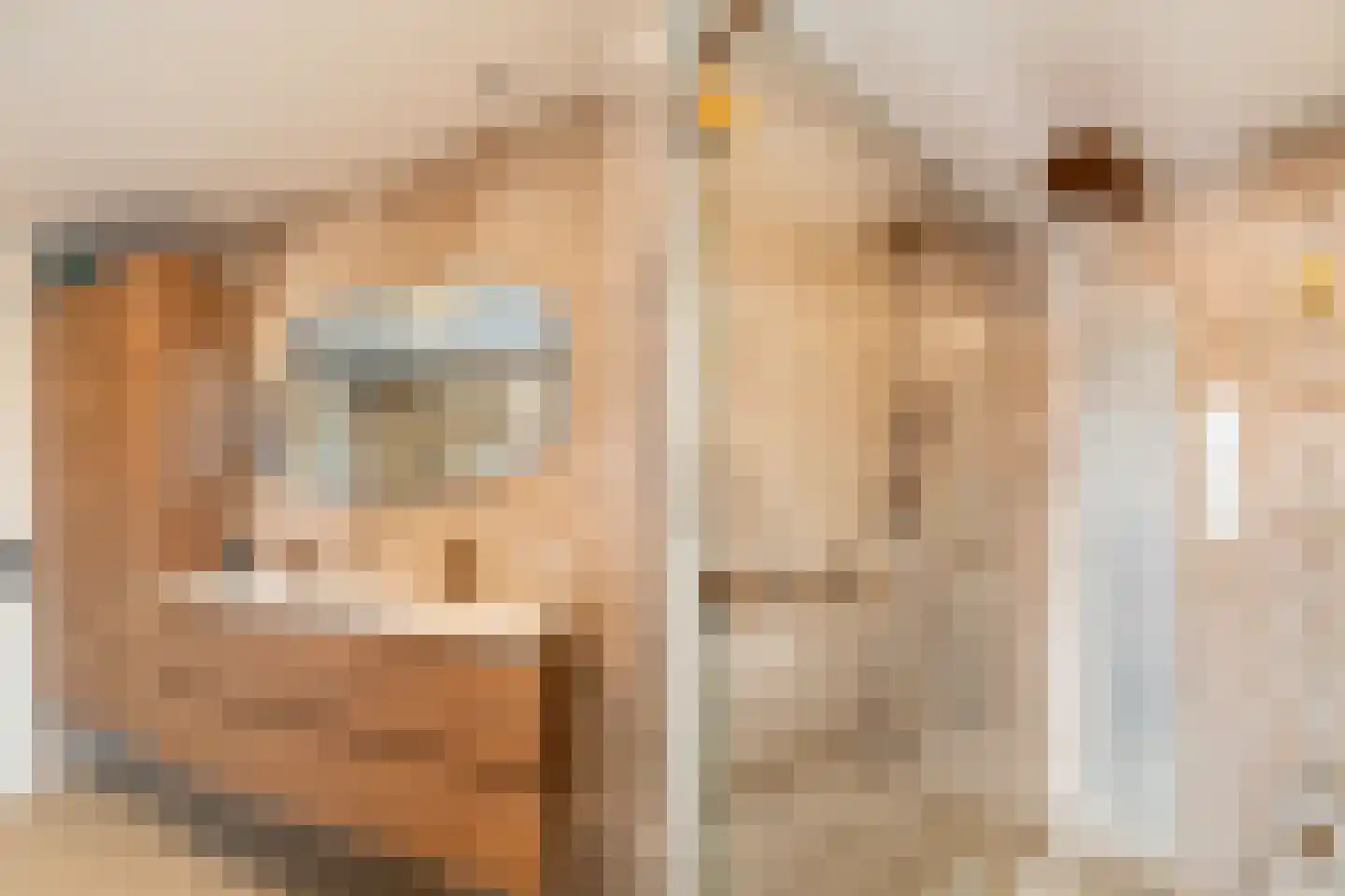 Scholekster 20 De Lier thumbnail 41