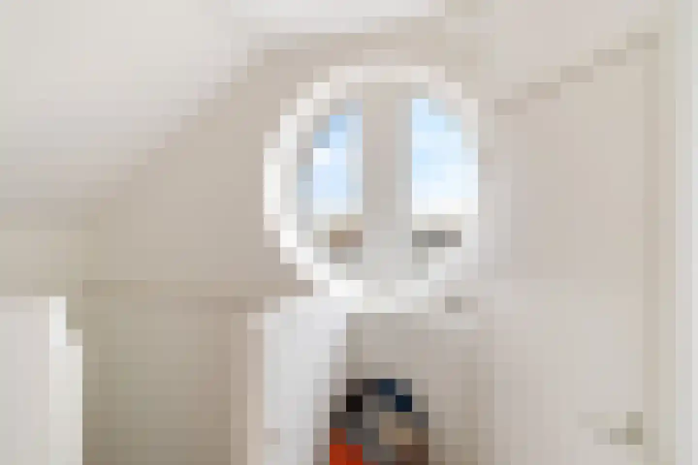 Scholekster 20 De Lier thumbnail 43