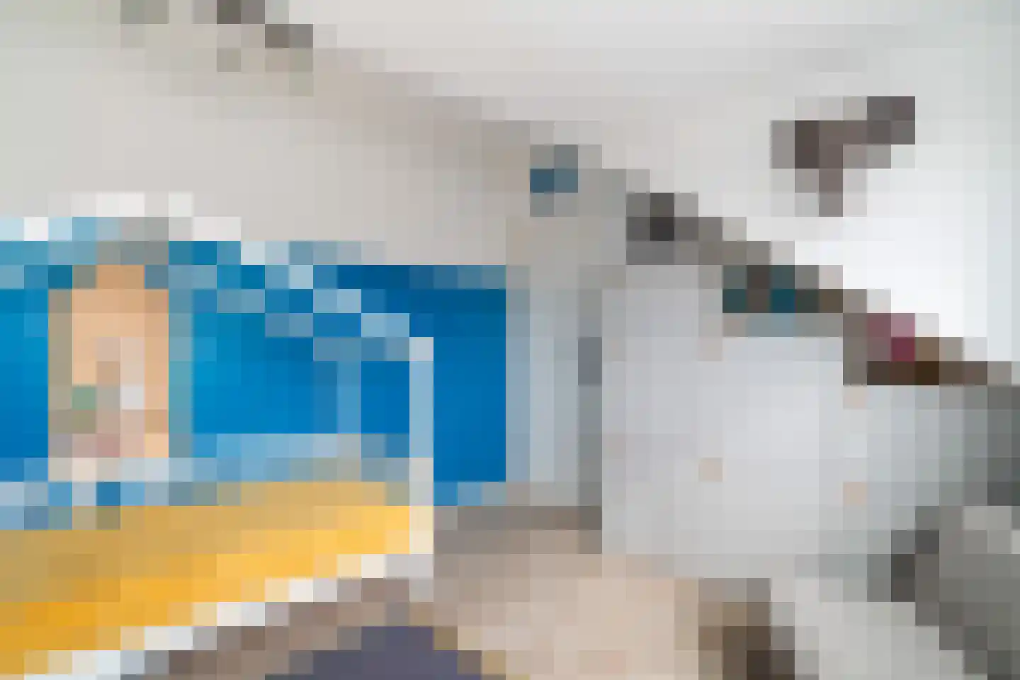 Scholekster 20 De Lier thumbnail 48