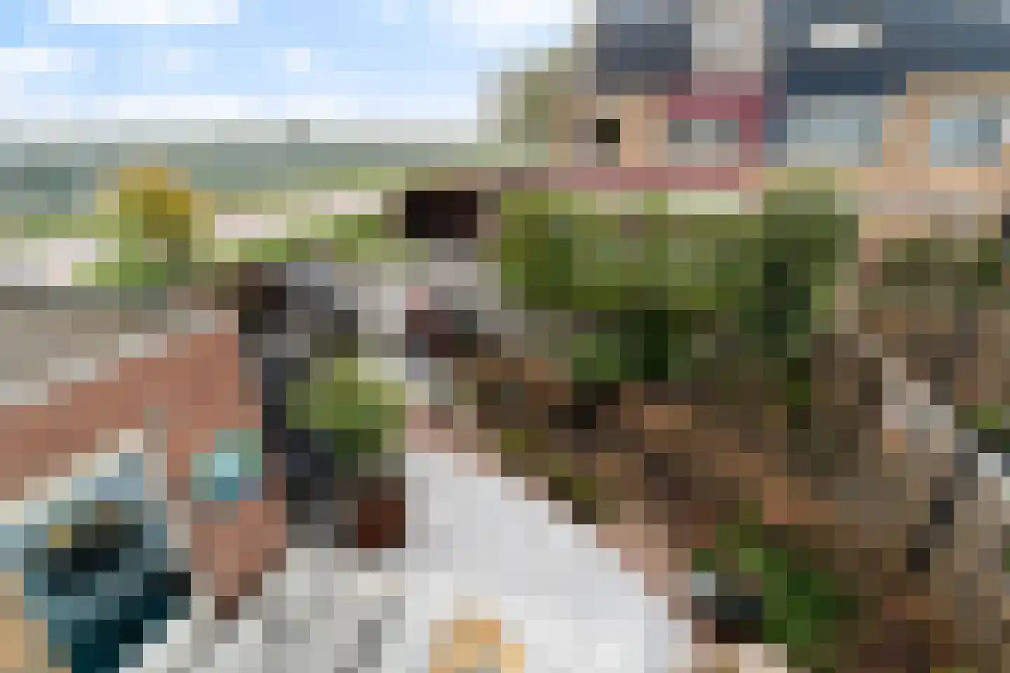 Scholekster 20 De Lier thumbnail 49