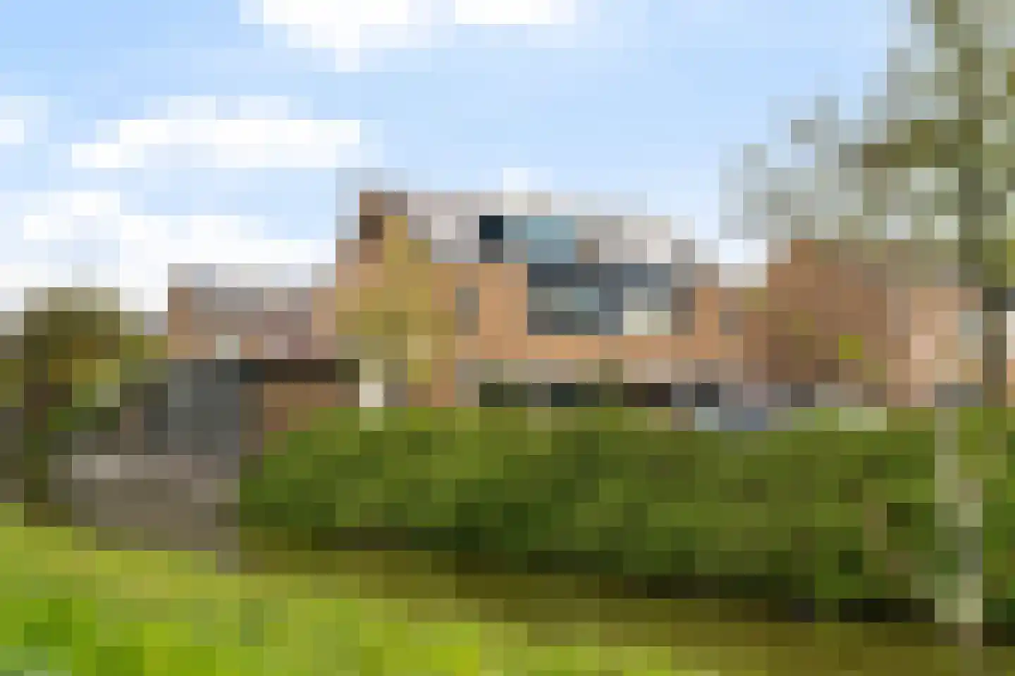 Scholekster 20 De Lier thumbnail 50