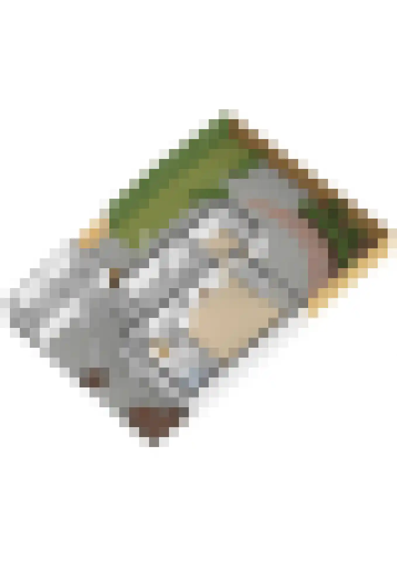 Scholekster 20 De Lier thumbnail 52