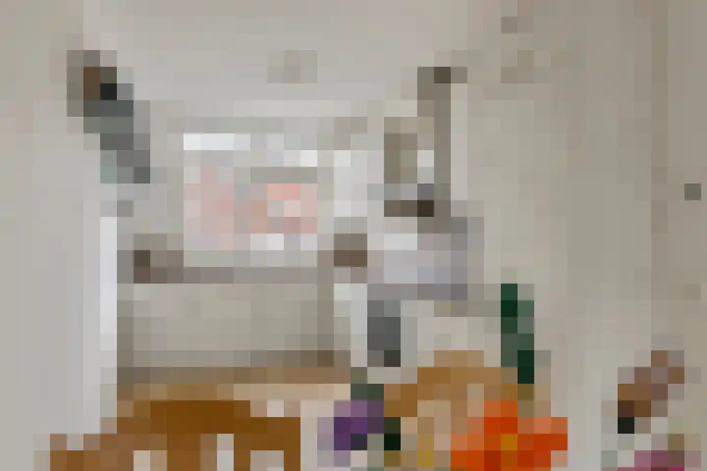 Scholekster 21 Maurik thumbnail 10