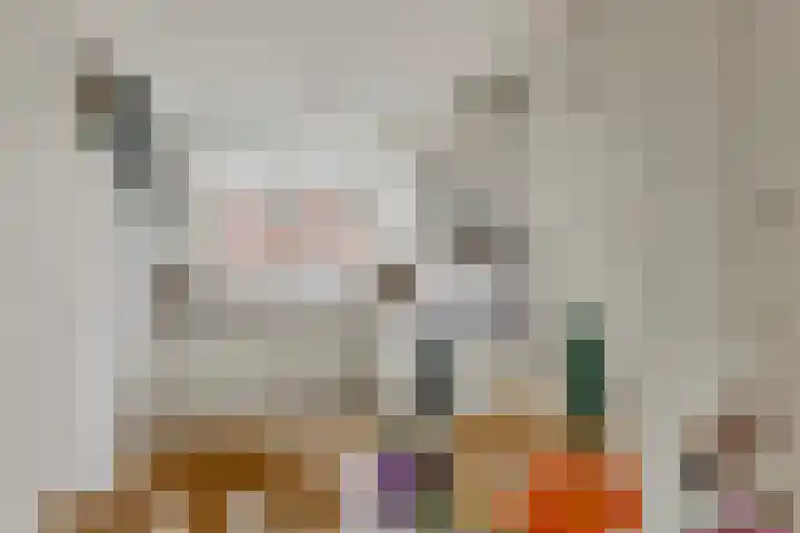 Scholekster 21 Maurik thumbnail 10