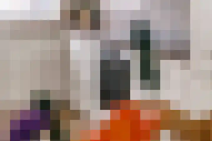 Scholekster 21 Maurik thumbnail 11