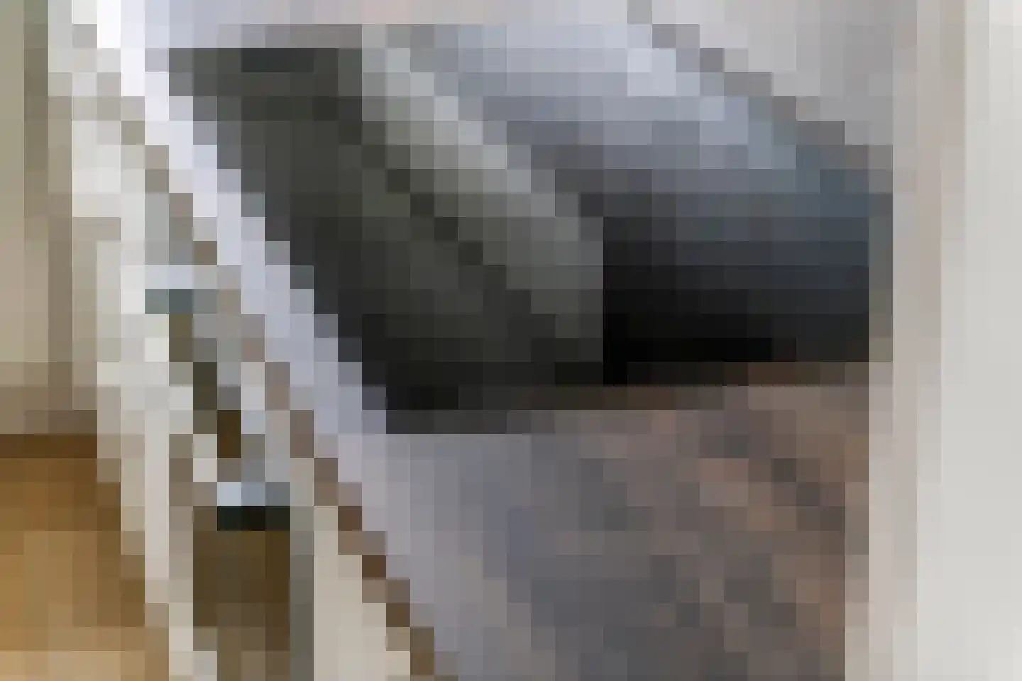 Scholekster 21 Maurik thumbnail 12